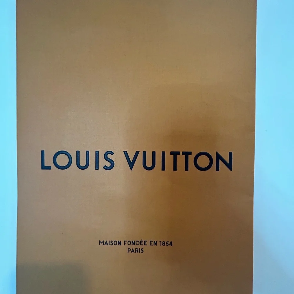 Louis Vuitton gift bag